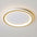 Lustre de Teto Circle Plafon Luminária de Teto Circular LED Nordic Minimalista com Controle Remoto 20cm 30cm 40cm 50cm 60cm 80cm