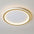 Lustre de Teto Circle Plafon Luminária de Teto Circular LED Nordic Minimalista com Controle Remoto 20cm 30cm 40cm 50cm 60cm 80cm
