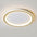 Lustre de Teto Circle Plafon Luminária de Teto Circular LED Nordic Minimalista com Controle Remoto 20cm 30cm 40cm 50cm 60cm 80cm