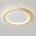 Lustre de Teto Circle Plafon Luminária de Teto Circular LED Nordic Minimalista com Controle Remoto 20cm 30cm 40cm 50cm 60cm 80cm