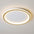 Lustre de Teto Circle Plafon Luminária de Teto Circular LED Nordic Minimalista com Controle Remoto 20cm 30cm 40cm 50cm 60cm 80cm